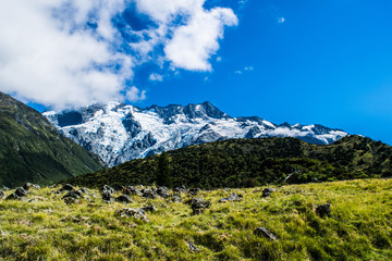 Contrasting landscapes of the mountainous regions of New Zealand