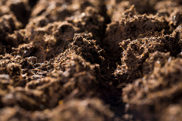 ploughed brown soil