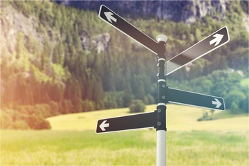 Blank directional road sing on nature background