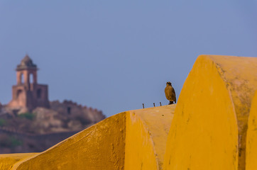 flag on roof of building