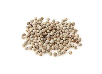 pepper isolated on a white background