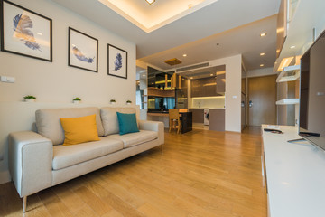 Interior, beautiful apartment, luxurious living room