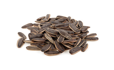 sunflower seeds isolated on a white background