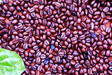 close up coffee bean on wood background and space for text