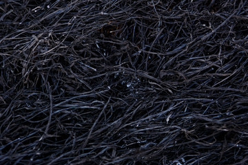 Black background of burnt grass. Texture of charred black grass and gray ash