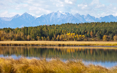 Fototapeta premium Picturesque autumn landscape with yellowed fields on the banks of an overgrown pond and snow-capped mountain peaks in the distance. Siberia, Buryatia, Eastern Sayan Mountains, Tunka Valley