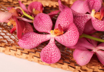 Pink orchids on brown paper texture.