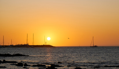 a view of a seagull flying over the atlantic ocean of the coast of the port of Punta del Este, Maldonado, Uruguay with a colorful sunset