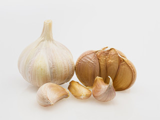 Garlic (Allium sativum) on white background.