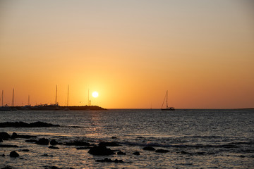 a view of a seagull flying over the atlantic ocean of the coast of the port of Punta del Este, Maldonado, Uruguay with a colorful sunset