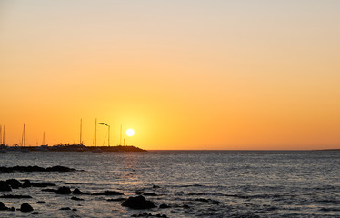 a view of a seagull flying over the atlantic ocean of the coast of the port of Punta del Este, Maldonado, Uruguay with a colorful sunset