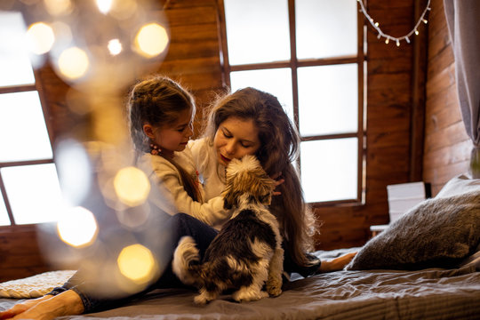 horizontal photo of a girl and her long-haired mom sitting on a bed in casual clothes and their funny dog