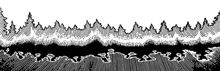 Sunrise forest vector isolated. Pencil, ink, marker on paper. On a white background. Strokes and lines. Dense thickets, mature trees, pine trees. A tropical forest.