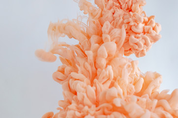 Blurred and focus pink poster color dissolving in water for abstract and backgorund concept.