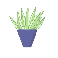  vector illustration of a potted plant in a flower vase, in a flat style on a white background isolated drawing