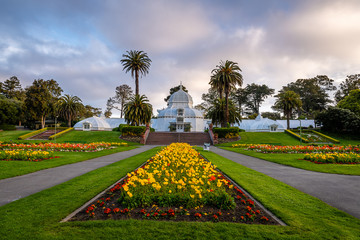 Early Morning from the Golden Gate Park