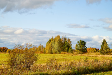Autumn landscape with a field of yellow and green grass, haystacks and forest in distance