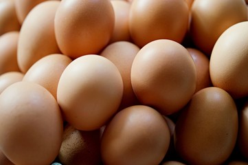 Slective focus of fresh chicken eggs on trays for sale at a supermarket ready to be picked up by a customer