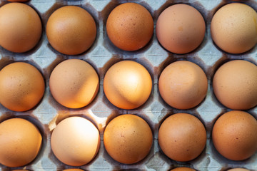 Top view of brown chicken eggs in an open egg carton with sunshine.