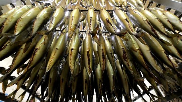 fish hang smoked factory rack row prepared