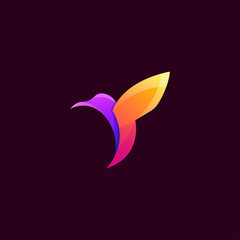 bird color logo design vector abstract