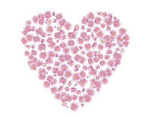 Obraz na płótnie Canvas cherry blossom in the shape of pink heart