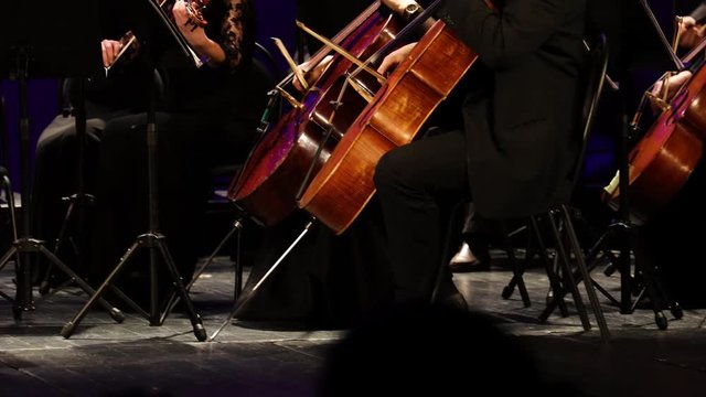 Close up musicians playing contrabasson in the concert