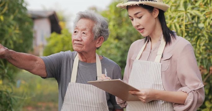 Senior woman work with her daughter at farm. Female farmer writing information develop farm with senior woman.