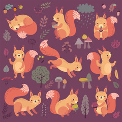 Squirrel set hand drawn style.