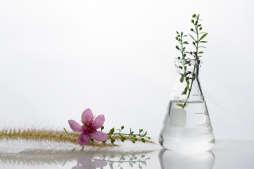 glass flask with green herbal leave and pink flower cosmetic research laboratory background
