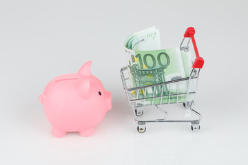 Pink piggy money box, euro banknotes and mini shopping cart