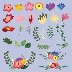 flower illust