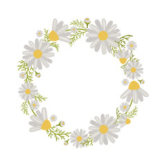 Wreath of Daisies: blossoms, leaves, buds. Floral texture perfectly for invitations, greeting card, fabric, wrapping paper and other printing.