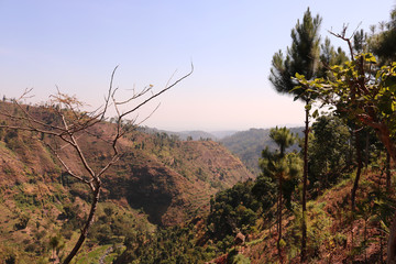 panoramic view of grand canyon