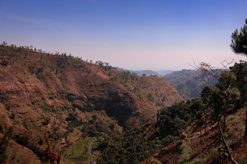 panoramic view of grand canyon