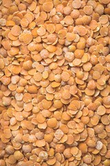 Macro shot of red lentils