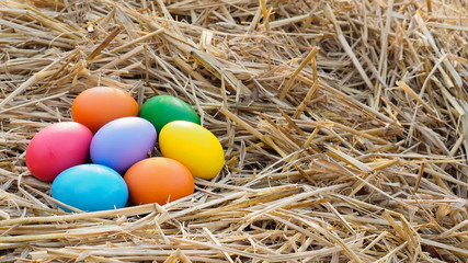 Easter egg in a straw