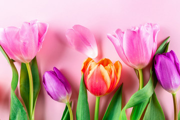 Spring flowers  - bunch of pink tulip flowers on rose background