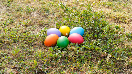 Fototapeta na wymiar Easter eggs in many colors on the grass. Red egg, blue egg, yellow egg