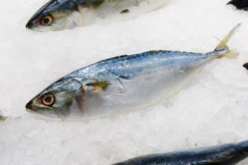 Buying fresh seafood. In the value center