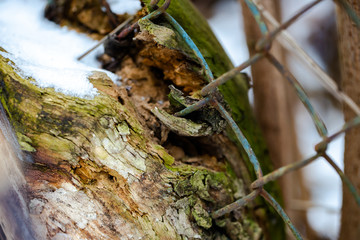 Iron mesh and wood