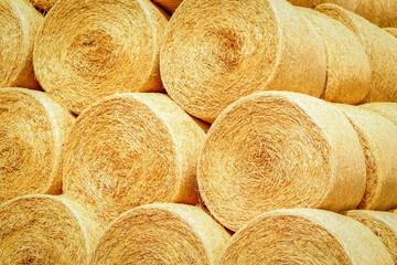 bales on the field are folded for second use on the field to the animal background