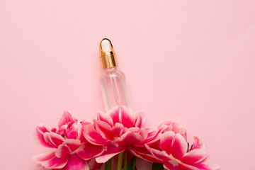 Essential cosmetic oil on pink background with spring flowers with a copy space