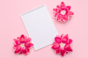 flat lay of blank paper desk spiral note decorate with pink flowers on light pink background