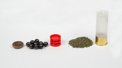 12 gauge shotgun ammunition on a white background