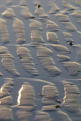 Beach ripples