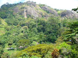 Fototapeta na wymiar view of river in mountains