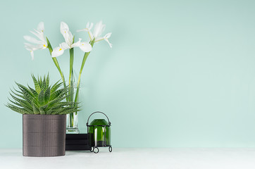 Elegant fresh home decor with green houseplant of aloe, candlestick, stack black books, spring white iris bouquet in style green mint menthe interior on white wood table.