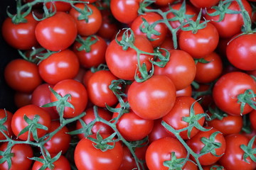 full frame tomato stock photo
