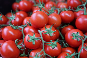full frame tomato stock photo